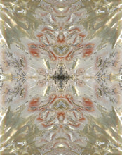 Load image into Gallery viewer, Abalone