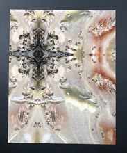 Load image into Gallery viewer, Abalone