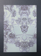 Load image into Gallery viewer, Rare Bird