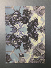 Load image into Gallery viewer, Rare Bird