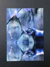 Load image into Gallery viewer, Prothea