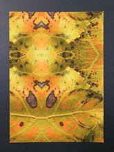 Load image into Gallery viewer, Molasses