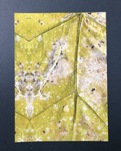 Load image into Gallery viewer, Midair