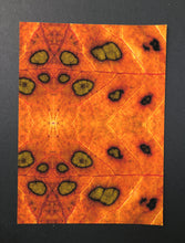 Load image into Gallery viewer, Blind Spots