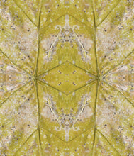 Load image into Gallery viewer, Midair