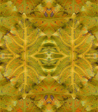 Load image into Gallery viewer, Molasses