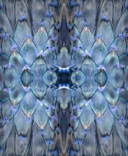 Load image into Gallery viewer, Prothea