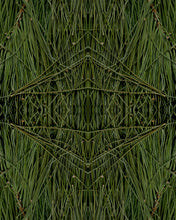 Load image into Gallery viewer, Undergrowth