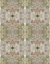 Load image into Gallery viewer, Abalone