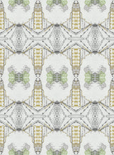 Load image into Gallery viewer, Antibodies