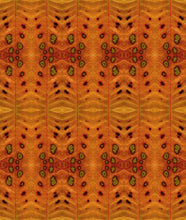 Load image into Gallery viewer, Blind Spots