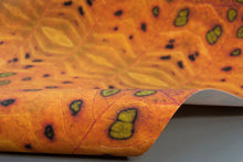 Load image into Gallery viewer, Blind Spots