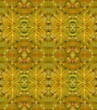 Load image into Gallery viewer, Molasses