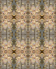 Load image into Gallery viewer, Prothea