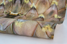 Load image into Gallery viewer, Prothea