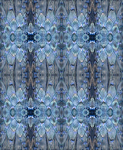 Load image into Gallery viewer, Prothea