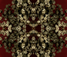 Load image into Gallery viewer, Rare Bird