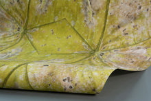 Load image into Gallery viewer, Midair