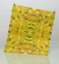 Load image into Gallery viewer, Molasses