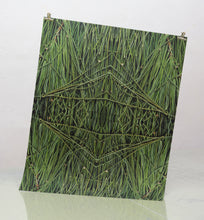 Load image into Gallery viewer, Undergrowth