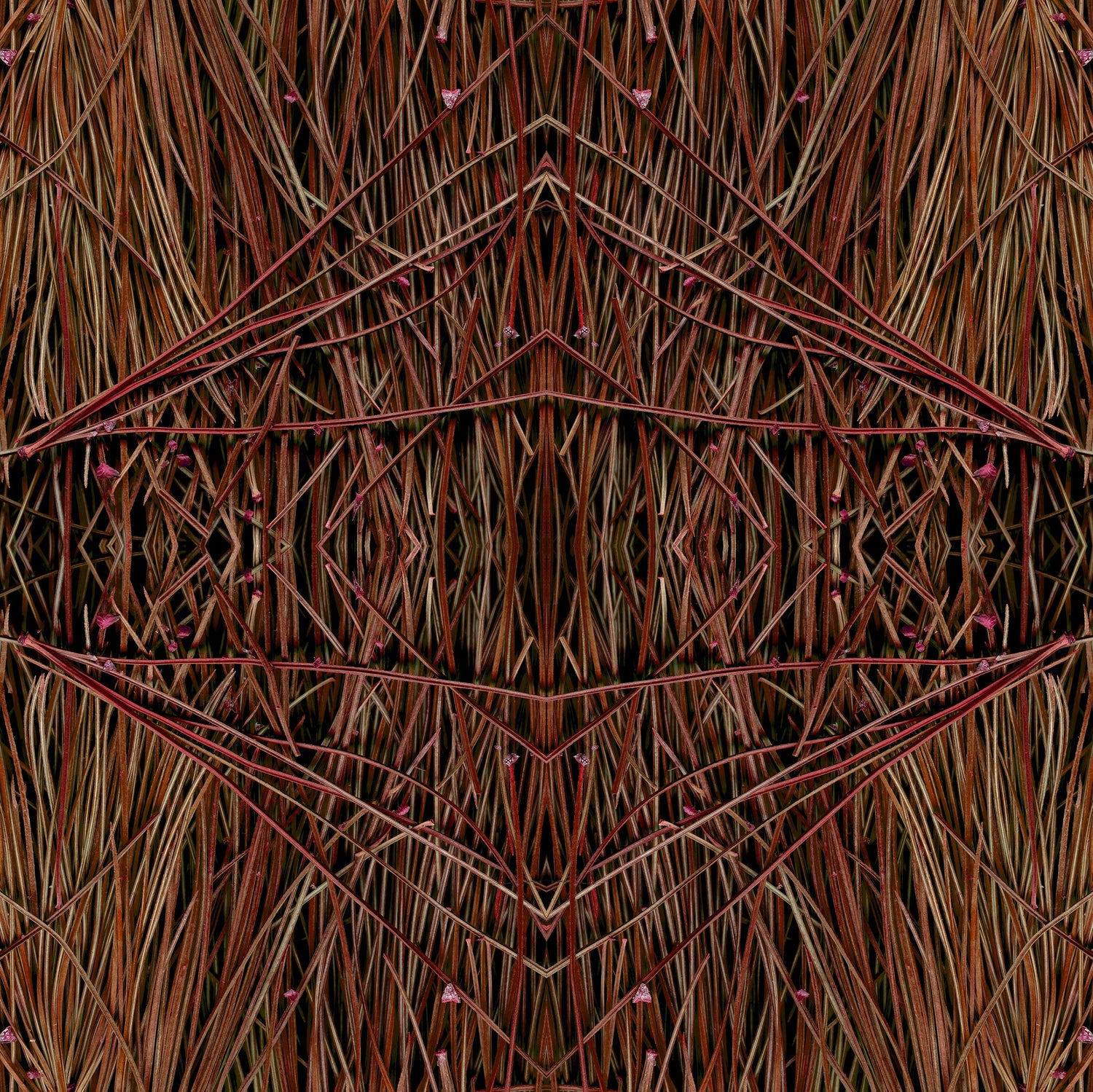 Flora